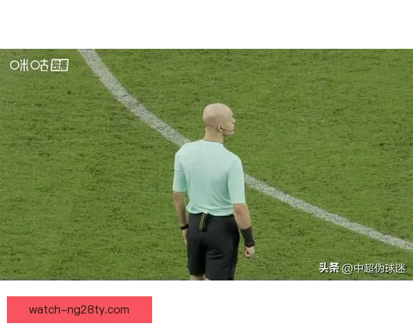 拉彭纳或仅停赛一场成裁判焦点