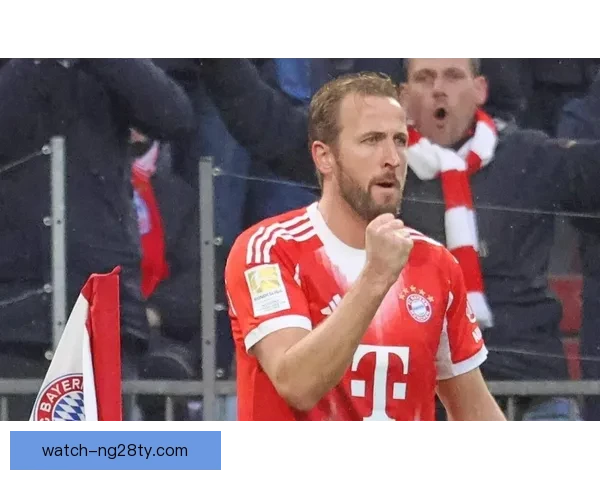 凯恩六场九球赛季已轰四十二球